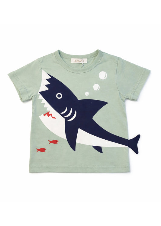 TShirt - Shark